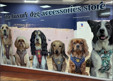 Printed Window Vinyl